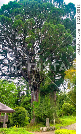 Noike Park: Beautiful spring water and clear streams 132898018