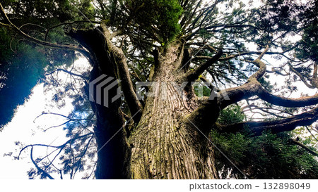 諾伊克公園：美麗的泉水和清澈的溪流 132898049