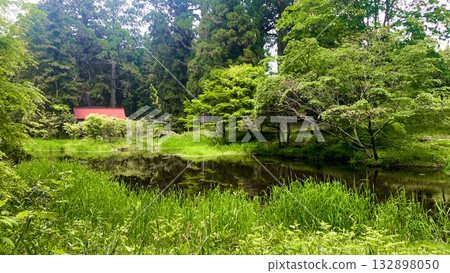 諾伊克公園：美麗的泉水和清澈的溪流 132898050