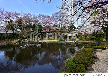 靖國神社-聖池花園中的櫻花 靖國神社-聖池花園中的櫻花 132898207