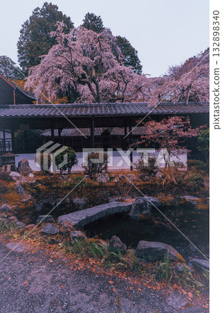 Photographing the cherry blossoms at Jurinji Temple in Oharano, Nishikyo-ku, Kyoto Photographing the cherry blossoms at Jurinji Temple in Oharano, Nishikyo-ku, Kyoto 132898340