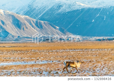 Golden hour along iceland's south coast 132898416