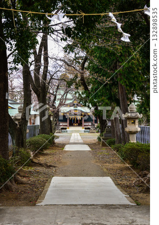 Kamiakatsuka Hikawa Shrine Cherry Blossoms 132898535