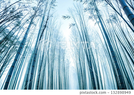 雪花飄落在竹林上，構成了一幅美麗的冬日景象。 132898949