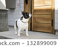 French bulldog at the entrance 132899009