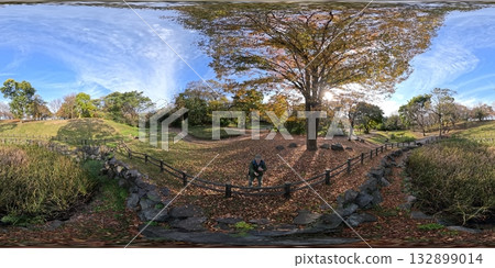 暮葉山公園城市綠化植物園的秋季景色全景 暮葉山公園城市綠化植物園的秋季景色全景 132899014