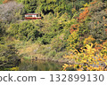 Watarase Keikoku Railway "Train running through the Watarase River and autumn foliage in the mountains" 132899130