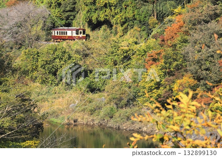 渡良瀨京國鐵道“列車穿行於渡良瀨川和山間秋色之間” 渡良瀨京國鐵道“列車穿行於渡良瀨川和山間秋色之間” 132899130