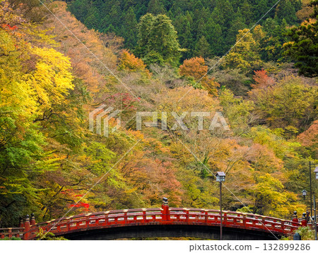 栃木縣日光市新橋與秋葉 132899286