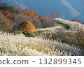 Miscanthus groves on the Hiruzen Plateau seen from the Kimedai Observatory in Maniwa City, Okayama Prefecture 132899345