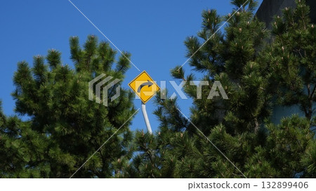 一棵松樹和一個迎風而立的路標－桃地一個寧靜的午後 132899406