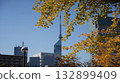 秋意漸濃－福岡塔與五彩斑斕的銀杏樹 1 132899409