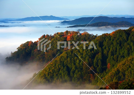 Autumn leaves in the sky 2412 132899552