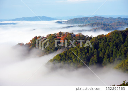 Autumn leaves in the sky 521 132899563