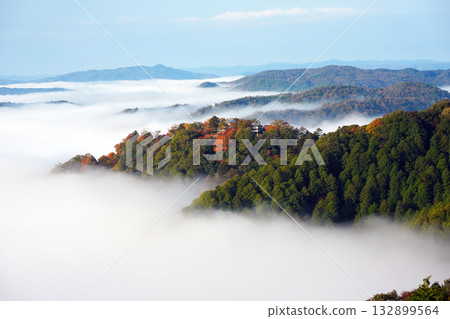 Autumn leaves in the sky 2528 132899564