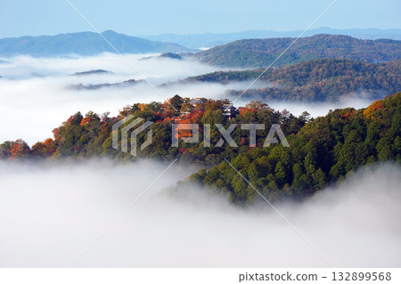 Autumn leaves in the sky 2597 Autumn leaves in the sky 2597 132899568