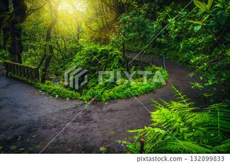 Curved levada hiking trail in the tropical forest, Madeira Island Curved levada hiking trail in the tropical forest, Madeira Island 132899833