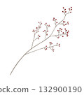 紅堅果插圖,手繪水彩風格 紅堅果插圖,手繪水彩風格 132900190