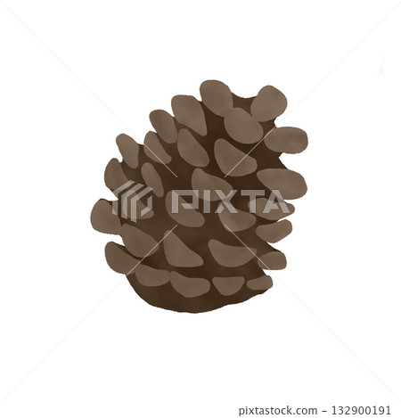 Pine cone illustration, hand-drawn watercolor style 132900191