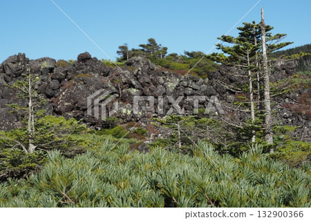 北八岳坪法庭自然花園 北八岳坪法庭自然花園 132900366