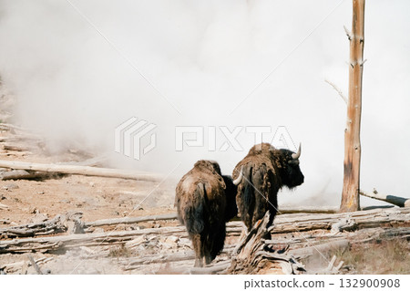 布法羅44 布法羅44 132900908