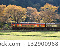 Watarase Keikoku Railway "A colorful train with autumn leaves in the background" 132900968