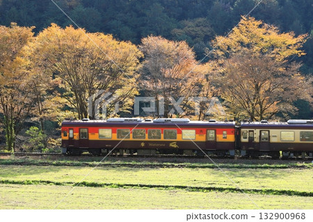 渡良瀨京國鐵道“一列色彩斑斕的列車,背景是秋葉” 渡良瀨京國鐵道“一列色彩斑斕的列車,背景是秋葉” 132900968