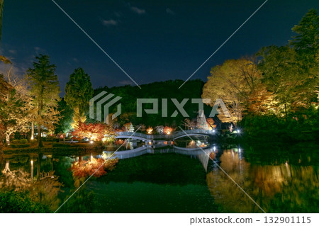 Illuminated Yakushiike Park in autumn Illuminated Yakushiike Park in autumn 132901115