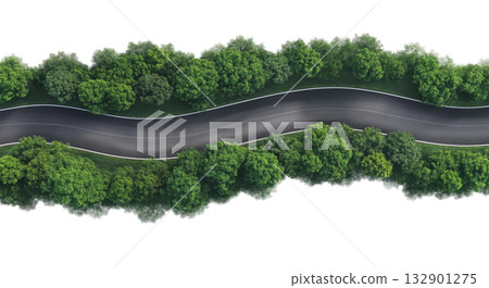 Curved Road in a Forest 132901275