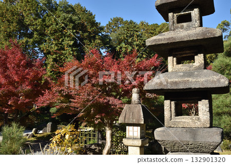金界光明寺的秋天:紫雲庭(京都市左京區) 金界光明寺的秋天:紫雲庭(京都市左京區) 132901320