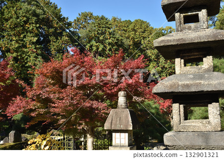 金界光明寺的秋天：紫雲庭（京都市左京區） 132901321