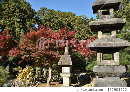 金界光明寺的秋天：紫雲庭（京都市左京區） 132901322