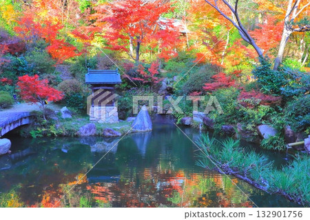 Autumn at Zensui-ji Temple (Hyakuden Pond, Konan City) 132901756
