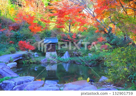 Autumn at Zensui-ji Temple (Hyakuden Pond, Konan City) 132901759