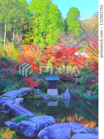 Autumn at Zensui-ji Temple (Hyakuden Pond, Konan City, vertical composition) 132901762
