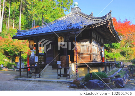 Autumn at Zensui-ji Temple (Ganzandaishi Hall, Konan City) 132901766