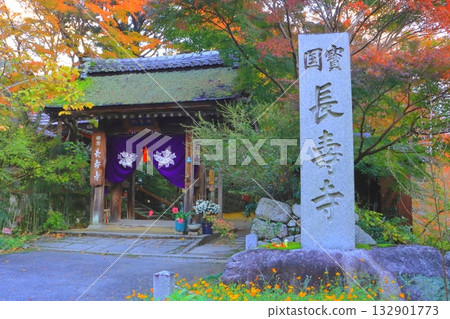 秋天的長壽寺(甲南市山門) 秋天的長壽寺(甲南市山門) 132901773
