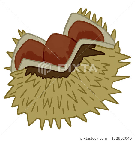 打開的栗子瘤 打開的栗子瘤 132902049