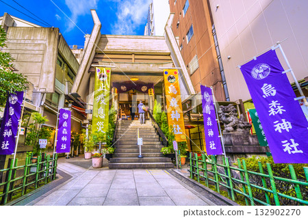 Tokyo cityscape in Japan, including Shinbashi and Karasumori Shrine, on November 4th Tokyo cityscape in Japan, including Shinbashi and Karasumori Shrine, on November 4th 132902270