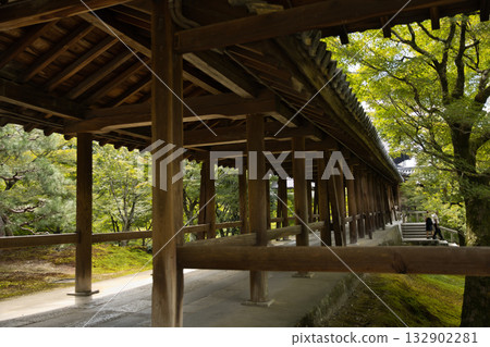 Tofukuji Temple - Tsutenkyo Bridge illuminated by the gentle morning sunlight 3 132902281