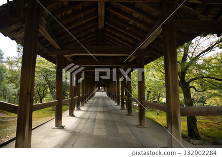 Tofukuji Temple - Tsutenkyo Bridge illuminated by the gentle morning sunlight 6 132902284