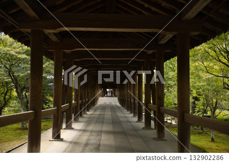 東福寺 - 通天橋沐浴在柔和的晨光中 8 132902286