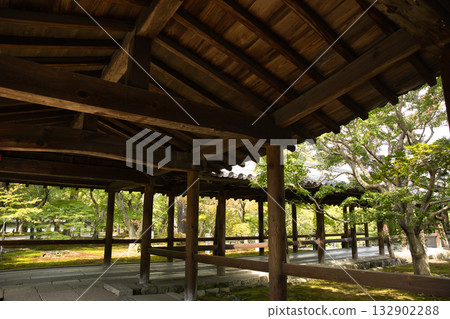Tofukuji Temple - Tsutenkyo Bridge illuminated by the gentle morning sunlight 10 132902288
