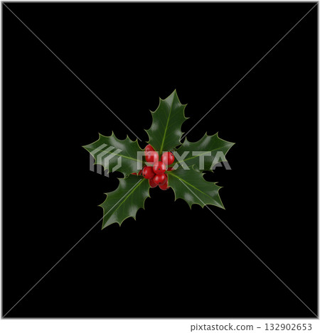 聖誕節：冬青葉和紅色漿果 132902653
