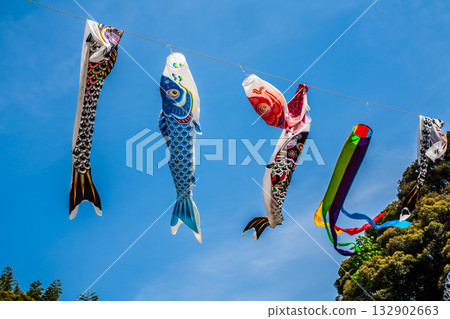 東長崎中里親愛公園的鯉魚旗【長崎縣長崎市】 東長崎中里親愛公園的鯉魚旗【長崎縣長崎市】 132902663