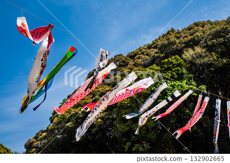 東長崎中里親愛公園的鯉魚旗【長崎縣長崎市】 東長崎中里親愛公園的鯉魚旗【長崎縣長崎市】 132902665