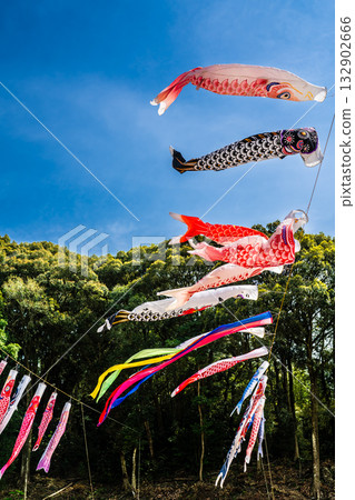 東長崎中里親愛公園的鯉魚旗【長崎縣長崎市】 東長崎中里親愛公園的鯉魚旗【長崎縣長崎市】 132902666