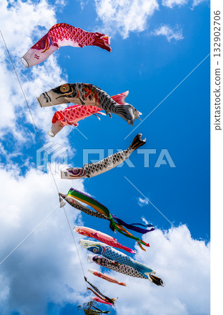 東長崎中里親愛公園的鯉魚旗【長崎縣長崎市】 132902706