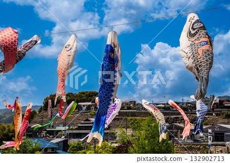 東長崎中里親愛公園的鯉魚旗【長崎縣長崎市】 東長崎中里親愛公園的鯉魚旗【長崎縣長崎市】 132902713