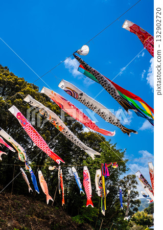 東長崎中里親愛公園的鯉魚旗【長崎縣長崎市】 東長崎中里親愛公園的鯉魚旗【長崎縣長崎市】 132902720